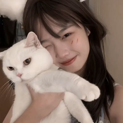 刀剑无双手游九游版下载